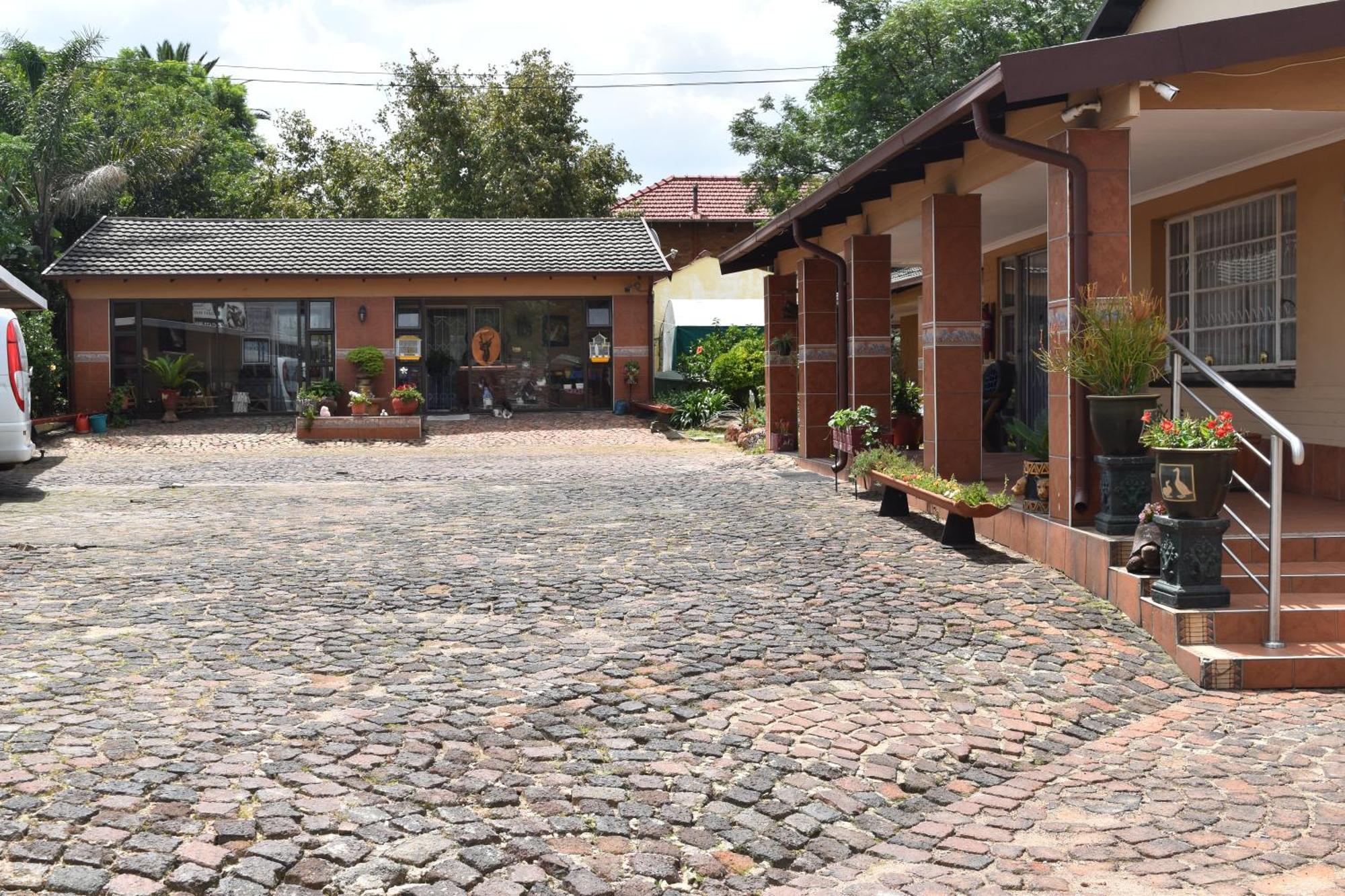 African Elephant Guesthouse 杰米斯顿 外观 照片