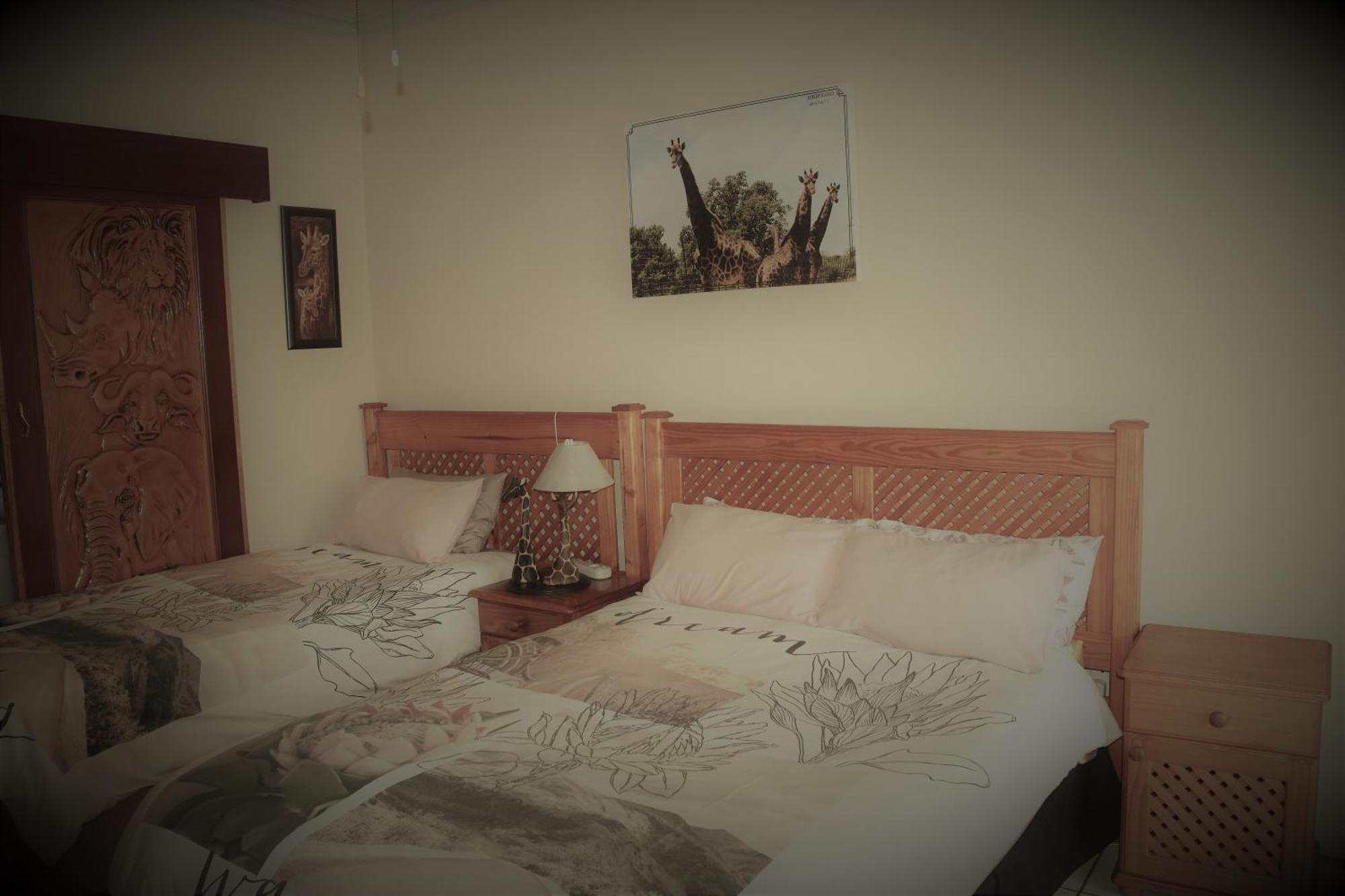 African Elephant Guesthouse 杰米斯顿 外观 照片